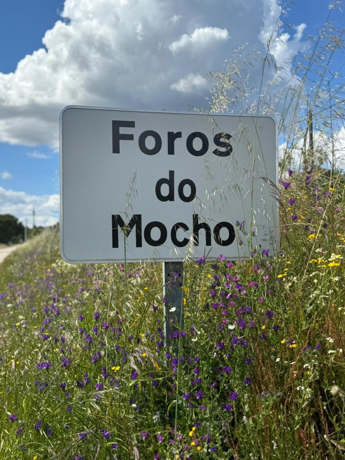 Monte Santo Villa Montargil Kültér fotó